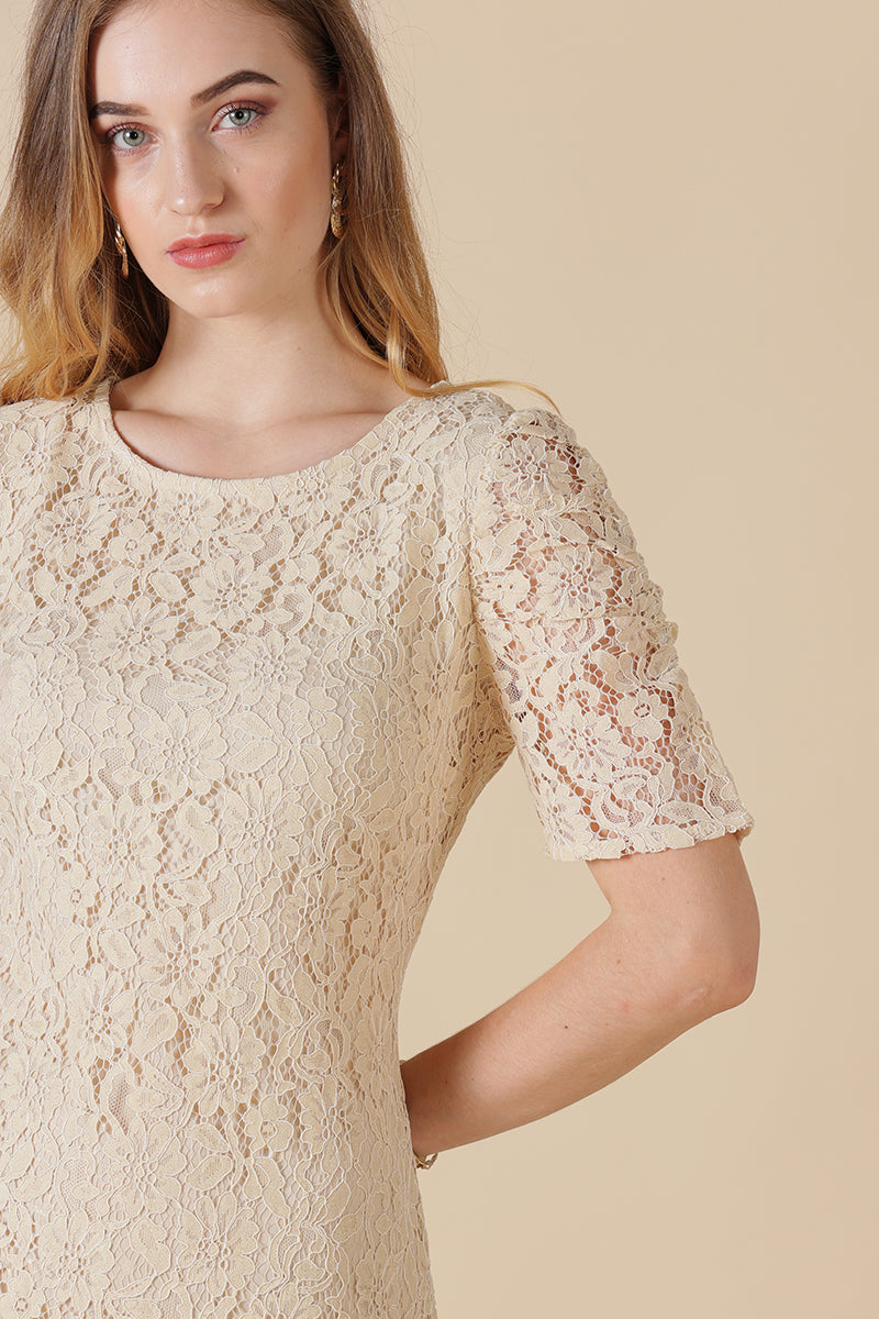 Gipsy Cream Net Fabric Dress