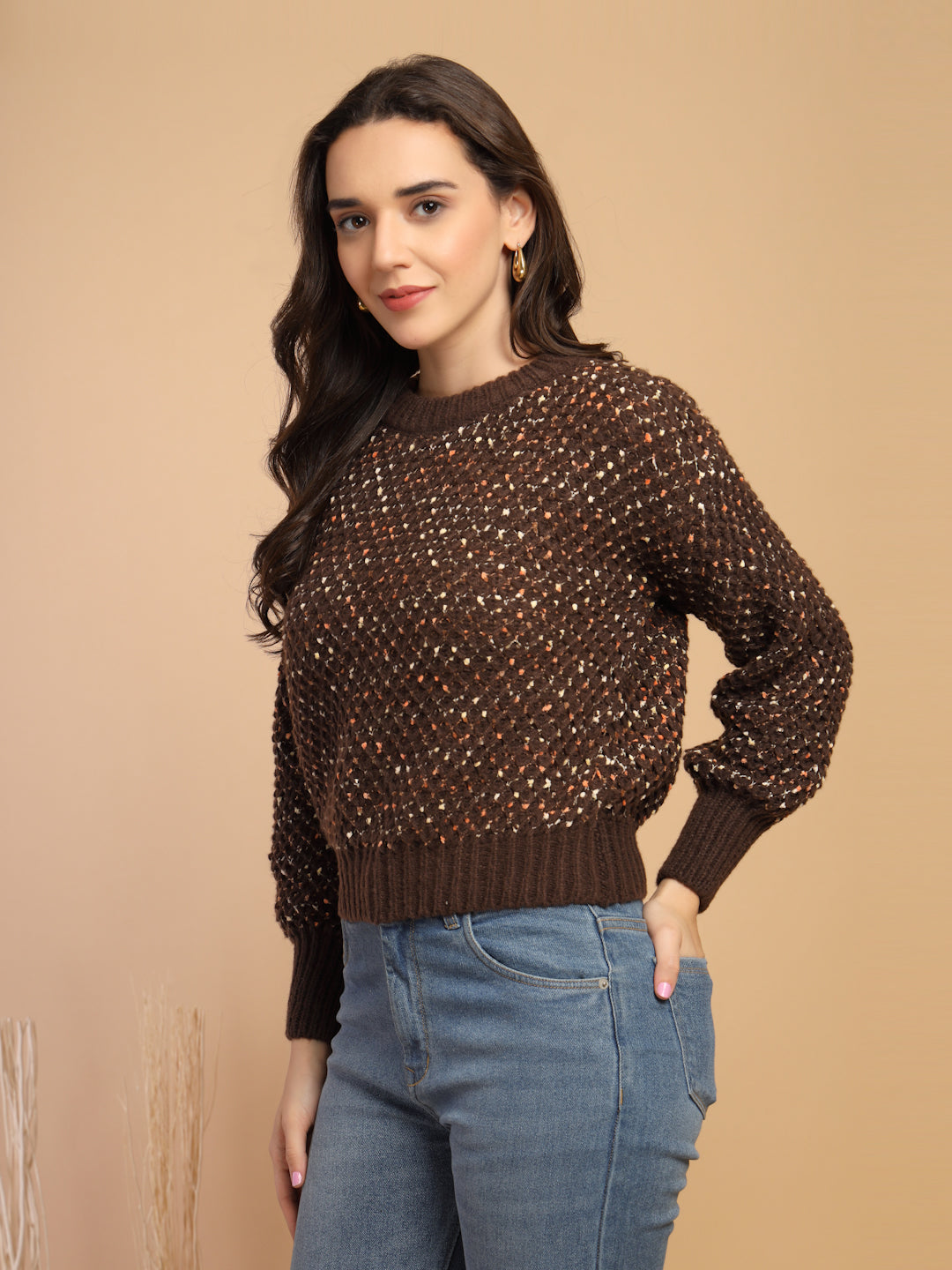 Coffee Solid Round Neck Pullover Sweater