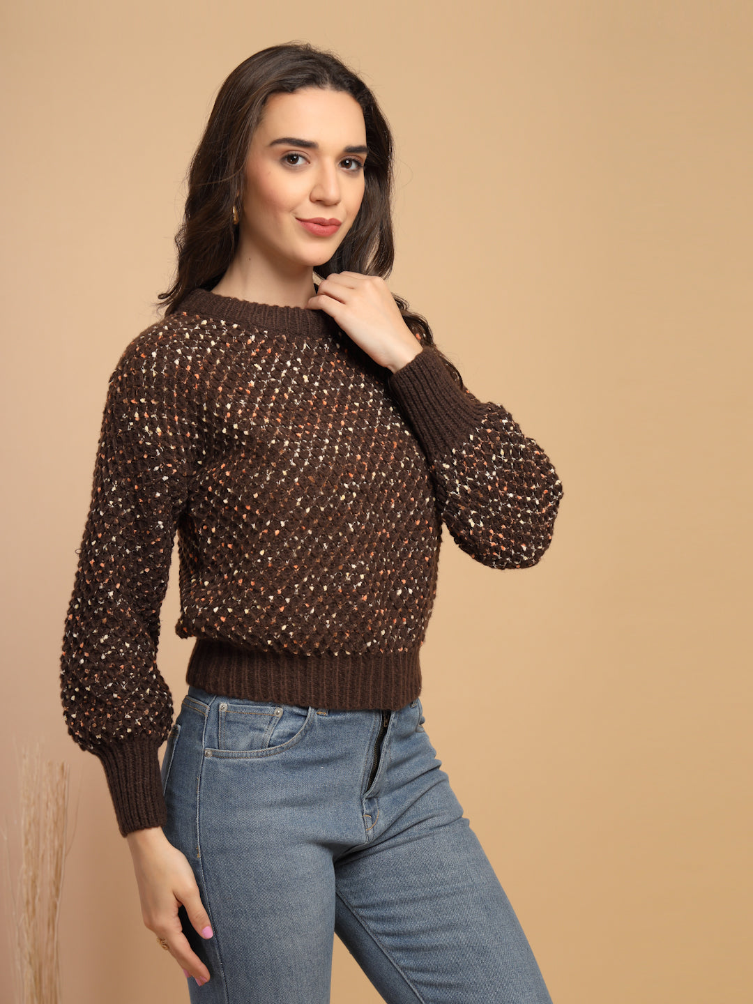 Coffee Solid Round Neck Pullover Sweater