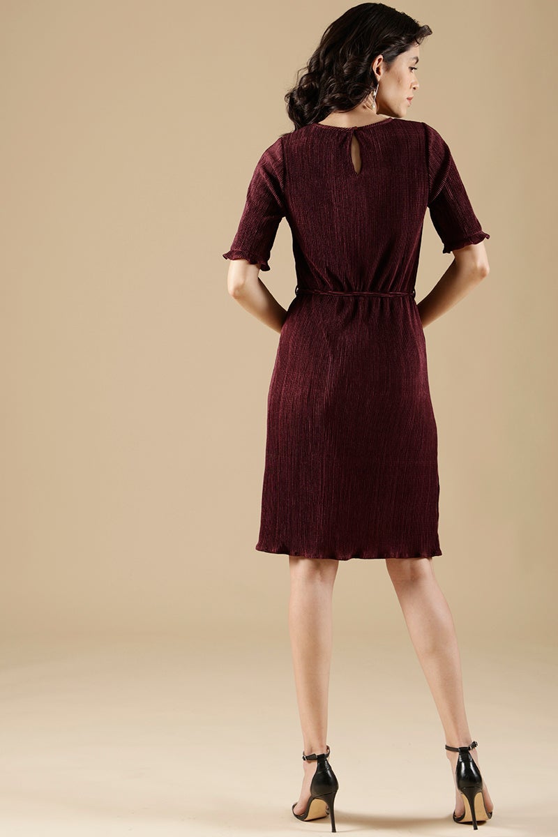Wine Regular Fit Poleyster Dress