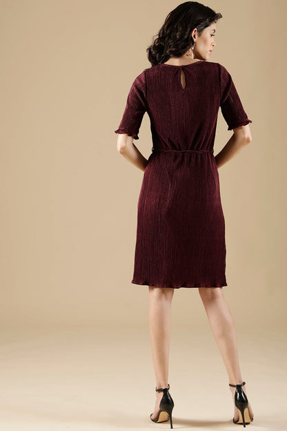 Wine Regular Fit Poleyster Dress