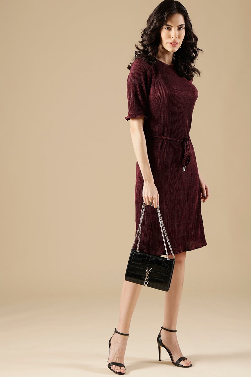 Wine Regular Fit Poleyster Dress